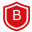 bitcontrol.us-logo
